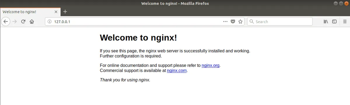 The Nginx Welcome Screen